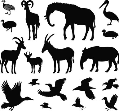 Wild animal and bird silhouette collection featuring elephant antelope tapir and flying birds isolated vector set