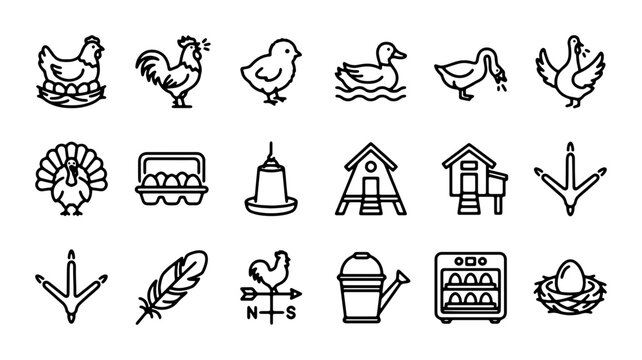 Farm Animal Icons Set: Chicken, Rooster, Duck, Turkey, Chick, Eggs, Hatchery, Coop, Feather, Footprint, Weather Vane, Watering Can