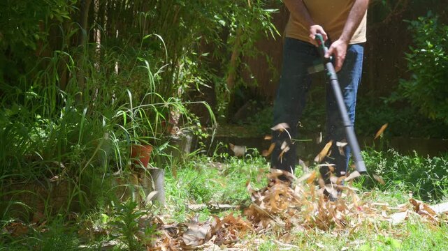 gardener blowing dry leaves in the garden with a battery-powered electric machine
