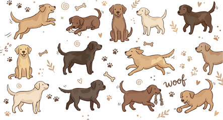 Fototapeta premium Cute Labrador Retriever Dog Character Collection with Playful Puppy Poses Hand Drawn Pet Animals Cartoon Vector Illustration Set
