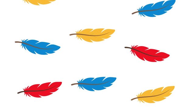 colorful tropical bird feather flutter down gently