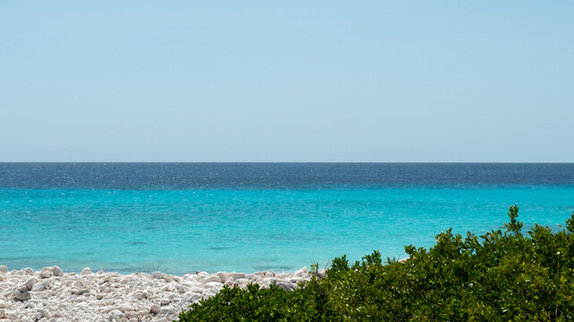 Bonaire Oceanscape