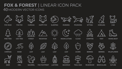 Modern vector icons, linear style, fox and forest symbols, 40 icon pack © Nusrath