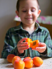 Fototapeta premium Smiling Child Splitting Apricot Halves over Tabletop Fruit Pile — Vertical Indoor Culinary Preparation, Organic Sweet Nutrition and Wholesome Family Lifestyle