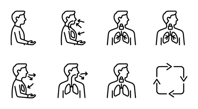 Human Respiration Icons, Lung Anatomy Diagrams, Breathing Exercise Illustrations, Medical Science Vector Set