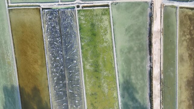 Top-Down Aerial View of Traditional Salt Pans and Aquaculture Ponds in Coastal Indonesia Rural Landscape