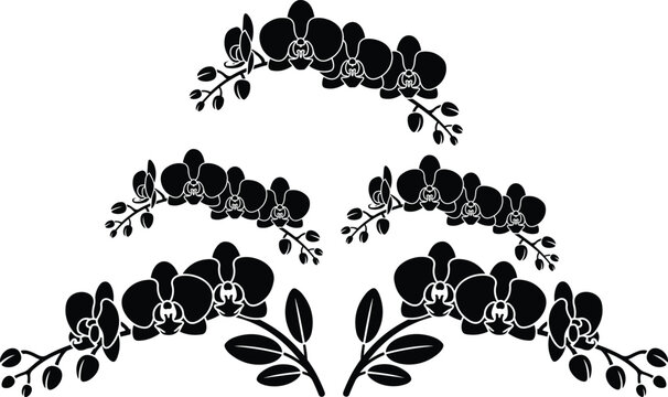 Collection of black orchid flower branch silhouettes with blossoms and buds for elegant floral design wedding invitations and decoration vector,.