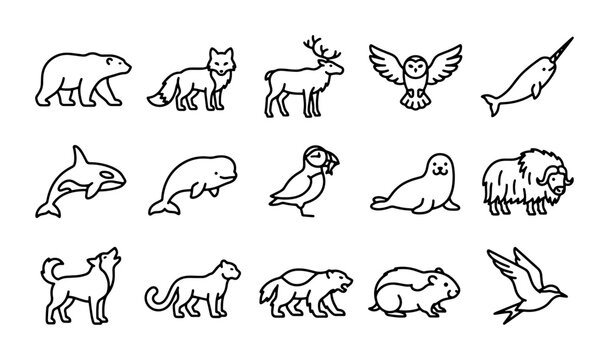 Arctic Animals Vector Icons Set, Polar Wildlife Illustrations, Cold Climate Creatures Collection
