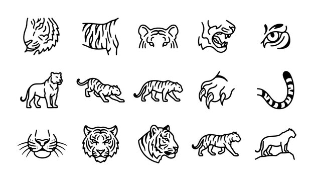 Tiger Icons Set, Wild Cat Vector Graphics, Feline Animal Illustrations, Black and White Line Art