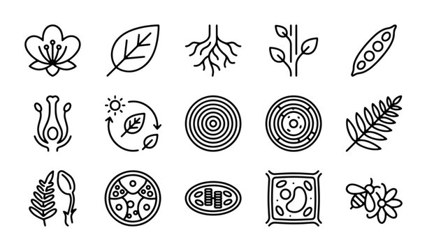 Botanical Icons Set: Plant Biology, Flower, Leaf, Root, Cell Structure, Photosynthesis