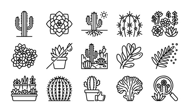 Succulent and Cactus Icons, Desert Plants Vector Set, Botanical Line Art Collection