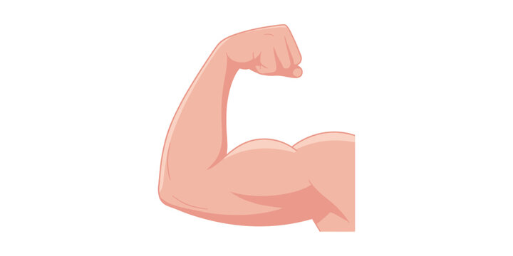 Strong flexed arm in cartoon style with emphasis on muscular definition, Strong muscular arm flexing biceps collection with different skin tones, fitness strength symbol icons vector illustration pro,