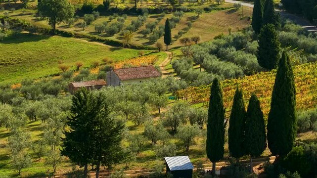 Chianti Tuscany Italy 4k drone 70mm telephoto of autumn golden fields vineyard. High angle view of cypress trees rural white road car driving near tuscan villa countryside landscape b-roll
