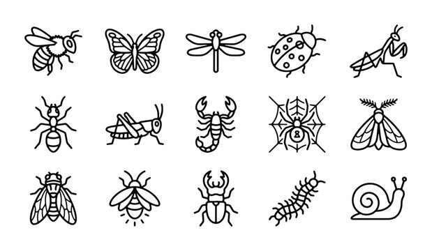 Insect Icons Collection, Vector Art Set: Butterfly, Bee, Ant, Spider, Snail, Dragonfly, Ladybug, Scorpion, Grasshopper, Moth, Fly, Stag Beetle, Centipede, Praying Mantis