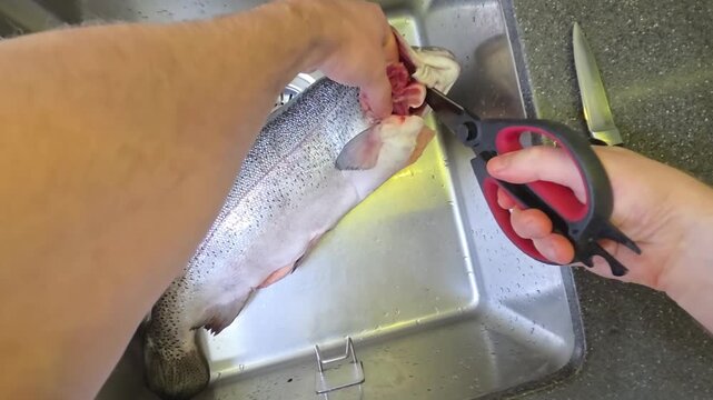 Fish cleaning process in the kitchen sink