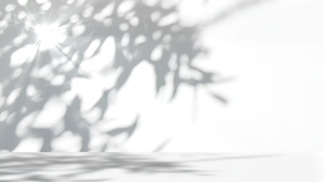 shadow of leaves with sunlight isolated on wooden table and white wall background, copy space in abstract nature, shades of gray in wind motion texture template 