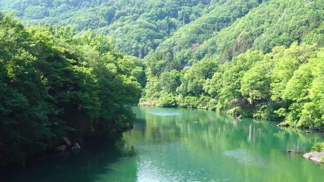 新緑に囲まれた埼玉県長瀞町の荒川の風景