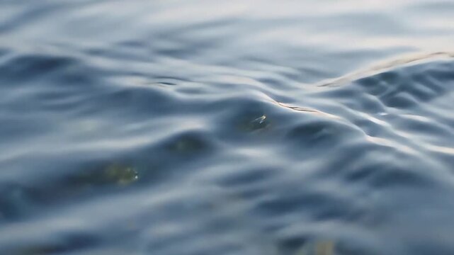 Ripples on the surface of a serene body of water reflect sunlight.