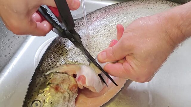 How to prepare fish in a kitchen