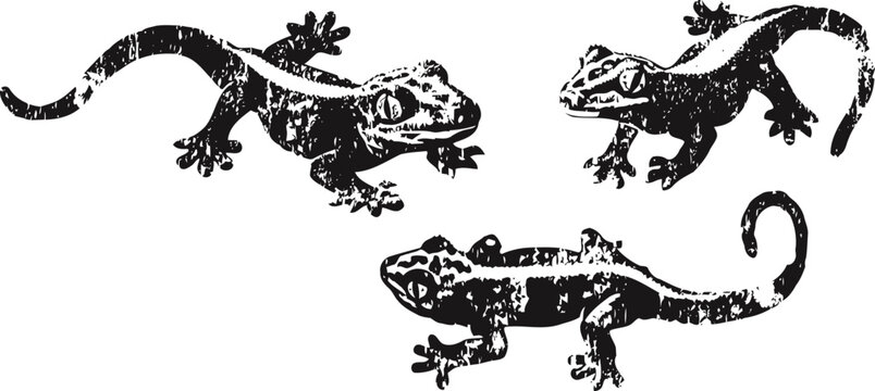 Three stylized black lizards with textured, grunge design, crawling in different directions