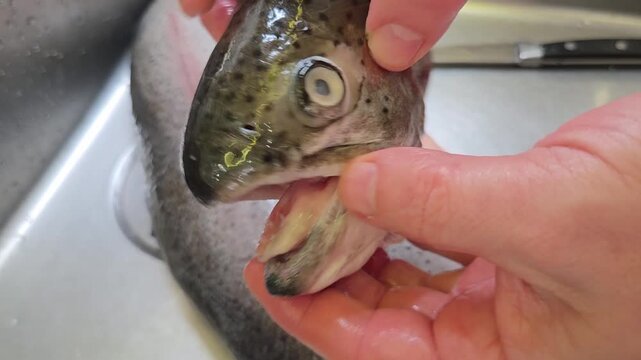 How to remove fish scales using simple steps and tools