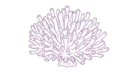 Fototapeta premium Detailed purple line art drawing of a large cluster of tube corals or sea sponges showing their many hollow structures.