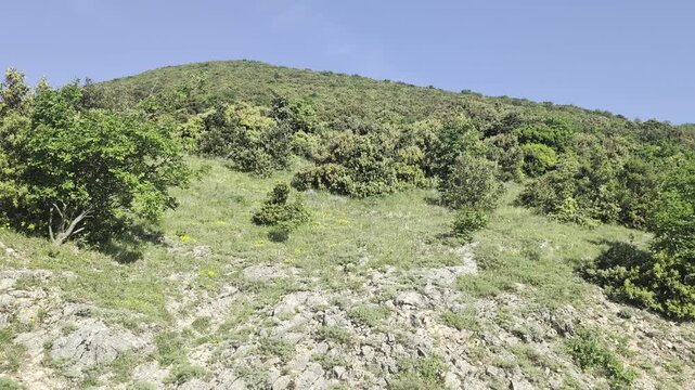 Paesaggio naturale con pendio roccioso, erba e vegetazione fitta che sale verso un&rsquo;area boschiva, sotto un cielo limpido