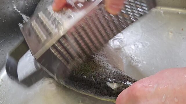 How to clean fish quickly and easily in the kitchen