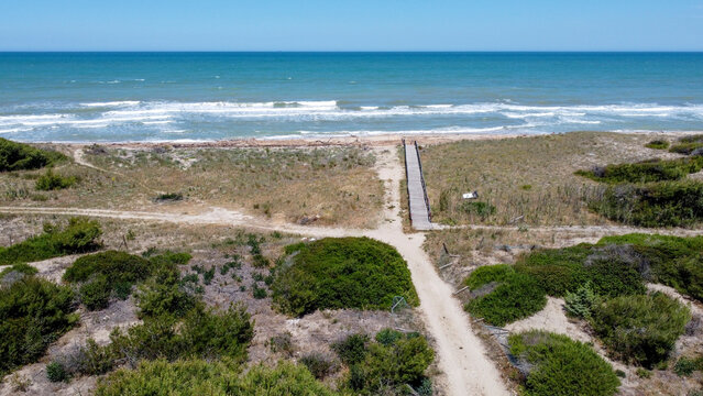 Pineta di Petacciato in provincia di Campobasso in Molise