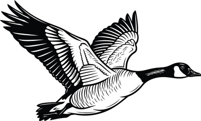 Flying canada goose silhouette illustration © ALO