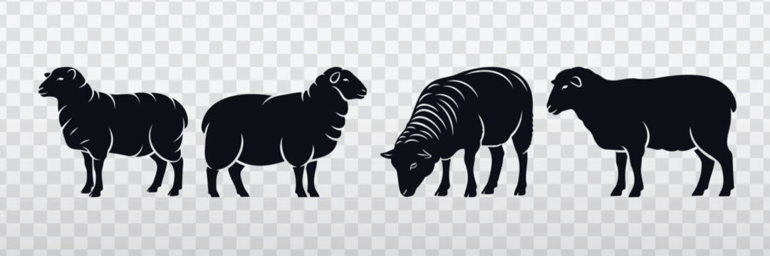 Set of black sheep vector silhouettes featuring standing, grazing and woolly farm animal poses on transparent background, ideal for livestock icons, farm labels, ranch branding and rural designs.