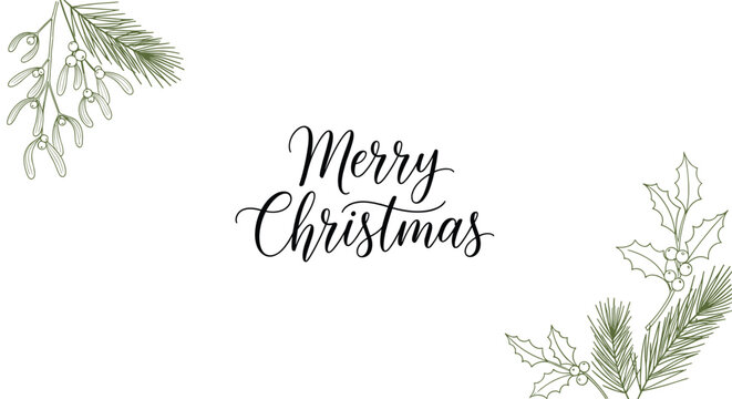 Elegant holiday greeting with Merry Christmas in black calligraphy font framed by delicate green pine branches mistletoe and holly leaves in corners.