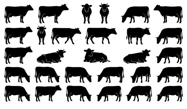 Holstein Dairy Cow Silhouette Collection with Multiple Farm Animal Poses