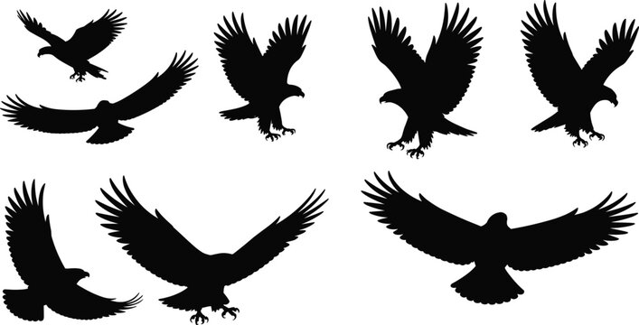 Collection of Flying Eagle Silhouettes Isolated on Gray Background Vector Style Bird Predator Wildlife Design Set