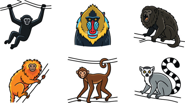 Wild Monkey and Primate Clipart Set Featuring Cartoon Gibbon Mandrill Portrait Howler Monkey Golden Lion Tamarin Spider Monkey and Ring Tailed Lemur Vectors