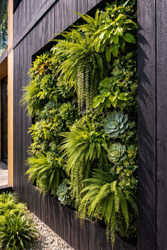 Lush vertical garden with diverse plants against dark wooden wall