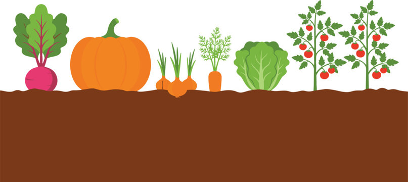 Vegetable garden icon illustrations with beetroot, pumpkin, carrot, lettuce, tomato plants, soil graphics, and vector design concepts