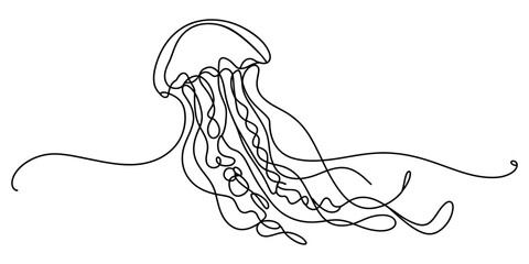 Single line drawing of a jellyfish floating in water © SHANTO