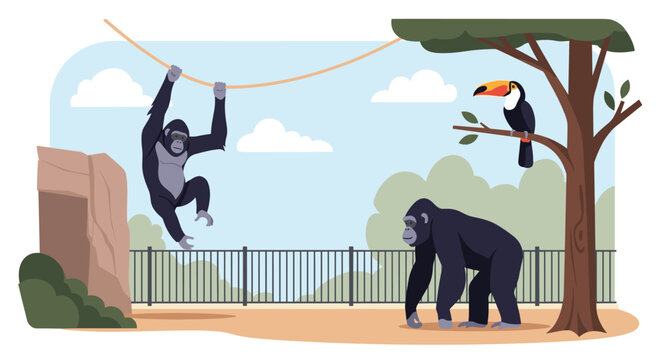 Two gorillas in a zoo enclosure with one hanging from a rope and a colorful toucan bird perched on a nearby tree branch.