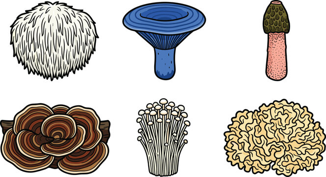 Edible and Medicinal Mushroom Icon Set Featuring Lion's Mane, Indigo Milk Cap, Turkey Tail, Enoki, and Cauliflower Fungus Variety for Botanical Designs