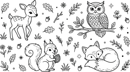 Woodland forest animals line art vector illustration set with cute deer owl squirrel fox leaves acorns flowers design © Hafizul