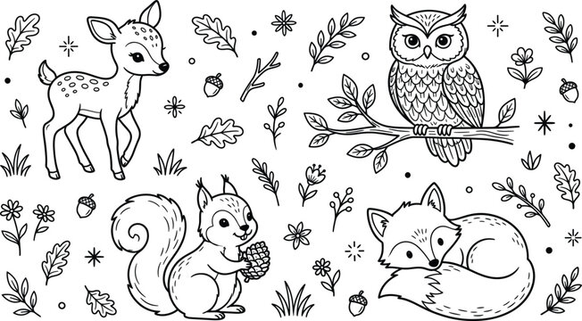 Woodland forest animals line art vector illustration set with cute deer owl squirrel fox leaves acorns flowers design