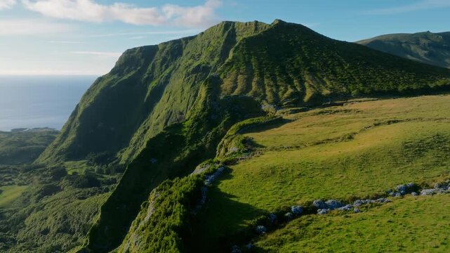 Aerial drone wide view of a dramatic volcanic cliff edge dropping into a lush green valley, with rolling pastures and blue hydrangea stone walls under a clear sky on Flores Island, Azores.