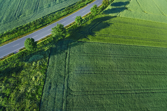  Aerial view on the fields and road. Landscape from drone. Agricultural landscape from air.