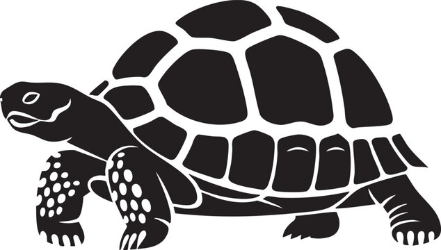 Black turtle silhouette walking slowly