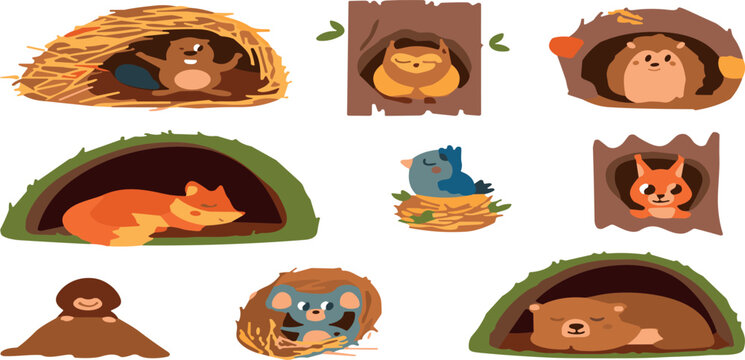 Cute Forest Animals in Their Homes Vector Set Featuring Sleeping Bear Fox Owl Squirrel and Beaver in Dens Burrows Nests and Tree Hollows