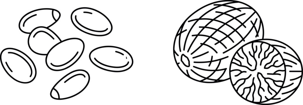 Minimalist culinary spice line icon set featuring a pile of organic flax seeds and a whole nutmeg kernel with a textured half cross section isolated on white background.
