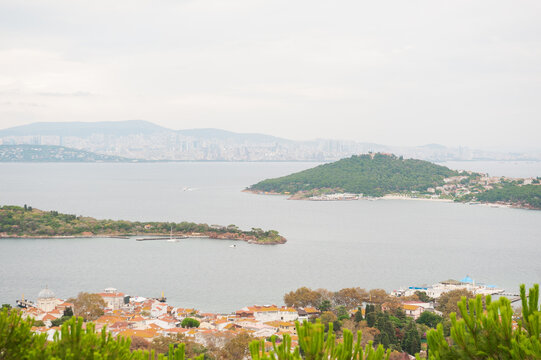 Coastal panorama overlooks tranquil bay
