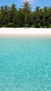 Palm trees line a white sandy beach with clear turquoise water under a bright sunny sky.