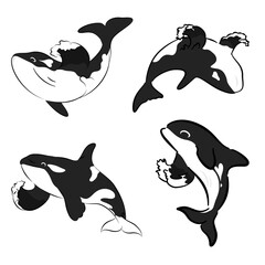Orca killer whale wave fin collection set ocean design © BlackGroundMeYou 